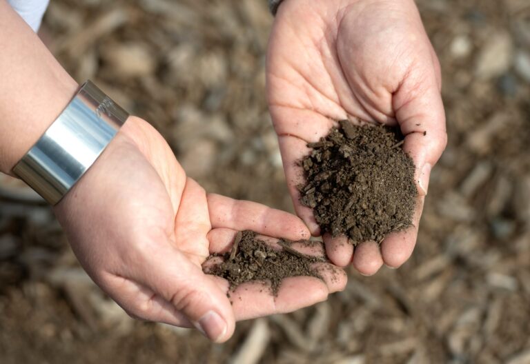 240322Alana_LeBron_0507_sz_Earrth_Dirt_Publichealth_Nature-2048x1409